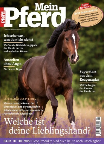 Zeitschriften abo Mein Pferd 